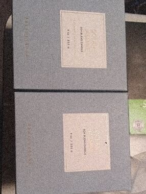 Pottery Barn Ocean + Jasmine Soy Candle - Dusty Blue Box